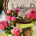 Wedding Day (writing)
